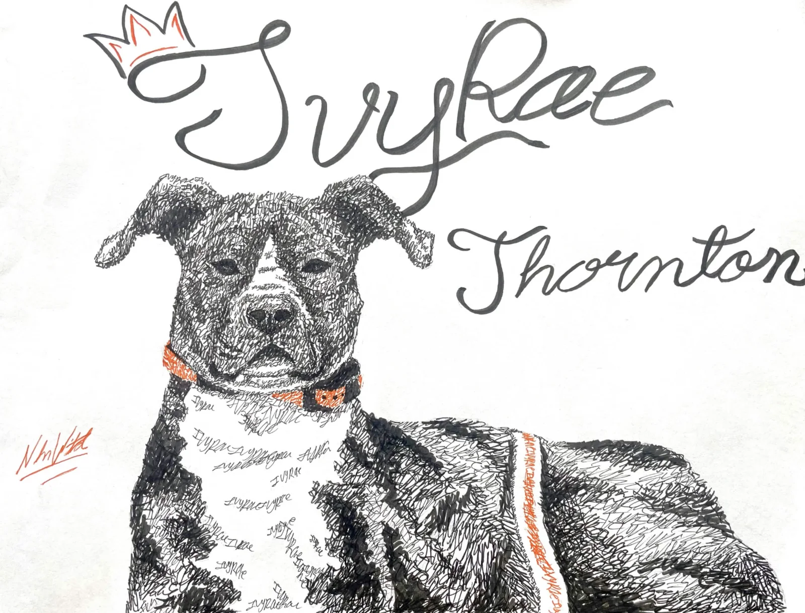 Custom dog portrait drawing